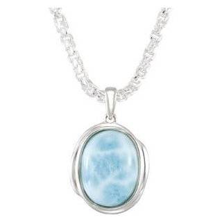 Genuine IceCarats Designer Jewelry Gift NA Genuine Larimar Necklace 