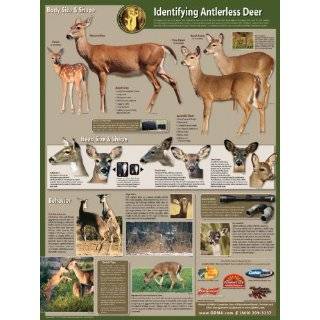 Selective Antlerless Deer Harvest Poster