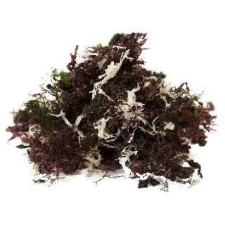 Marutomo Seaweed Dry Mix Kaiso Salad, 3.52 Ounce Units  
