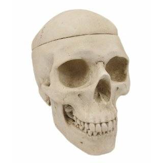 Cool Ceramic Skull Bowl W/ Bone Spoon