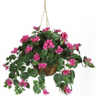 Bougainvillea Hanging Basket Silk Plant in Beauty   Nearly Natural 
