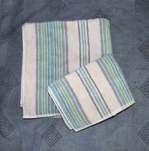 Pottery Barn Jenny Stripe Organic Bath Towel Hand Towel Set 2pc Blue