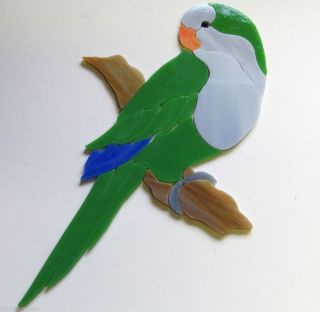Precut Stained Glass Kit Inlay Quaker Parrot Mosaic Garden Stepping Stone Tile