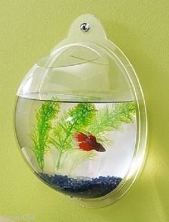 Wall Mounted Acrylic Fish Bowl Aquarium Tank Mounted Beta Small Gold Fish New
