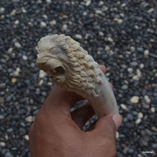 Lion Head Carved Handle 140mm in Deer Antler Bali Carving RH374