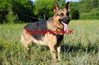 German Shepherd Harness UK for Sale New German Shepherd Harness for Large Dog