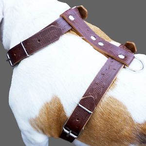 Brown Leather Dog Walking Harness Large XLarge 27" 37"