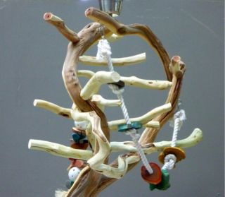 Manzanita Parrot Tree Bird Stand Toy Play Gym Like Java Wood Natural SB51L3