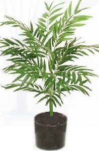 3' Phoenix Palm Plant Artificial Arrangement Silk Tree Bush in Pot Flower Floral