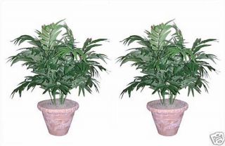 2 Palm 3' Artificial Tree Silk Plant in Urn Arrangement