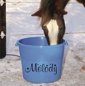 Personalised Name Sticker for Horse Accessories Feed Water Buckets Grooming Kit