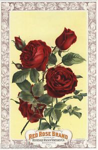 Crate Label Raisin 1890s Bakersfield Red Rose RARE