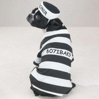 Dog Prison Pooch Pup Halloween Costume Prisoner XS XXL