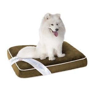 Simmons Comforpedic Orthopedic Memory Foam Dog Bed Med Large 27x35x4 Dark Sand