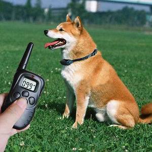 2013 LCD 100LV Level Electric Shock Vibra Remote Pet Dog Safe Training Collar