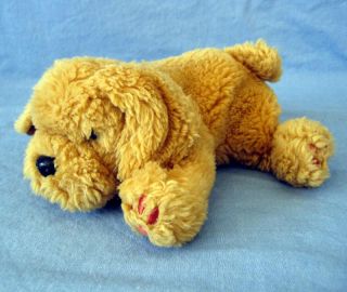 Stuffed Plush Animal Dog Puppy Honey Golden Retriever Beanbag Paw Pals