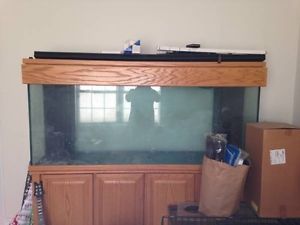 Aquarium Fish Tank 150 Gallon