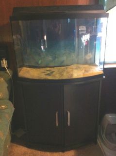 Aqueon 36 Gallon Bowfront Fish Tank Aquarium Glass w Matching Stand