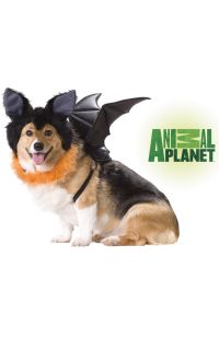 Animal Planet Bat Pet Dog Halloween Costumes Black 20103