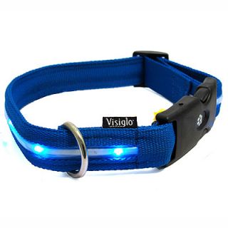 Visiglo Flashing Dog Collar Light Up Glow in Dark Choice of Sizes Blue