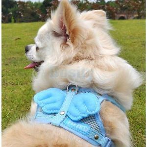 Blue Angel Wings Pet Puppy Dog Leashes Adjustable Dog Walking Harness Size S