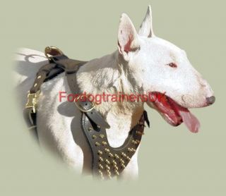 Bull Terrier Spiked Leather Dog Harness Top Quality