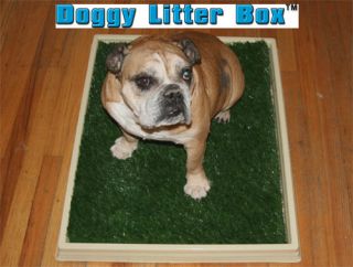 Puppy Potty Spray Training Aid Doggie Mats Synthetic Grass Turf Pet Litter Boxs