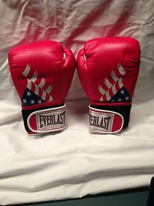 Everlast Boxing Gloves American Flag Design