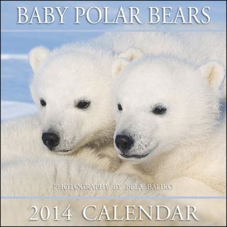 Baby Polar Bears 2014 Wall Calendar