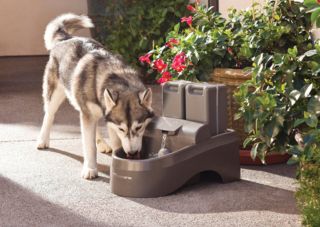 Drinkwell PetSafe Outdoor Indoor Large Big Dog Pet Fountain Auto Waterer 3 5 Gal