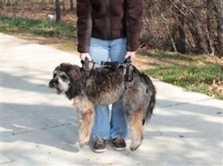 Solvit Carelift Medium Dog Pet Full Body Front Back Lifting Aid Mobility Harness