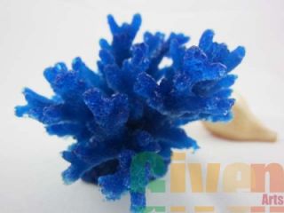 2XAQUARIUM Fish Tank Silicone Sea Anemone Artificial Coral Ornament SH066