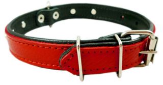 10" 14" 2ply Soft Leather Dog Collar Black Studs Paws