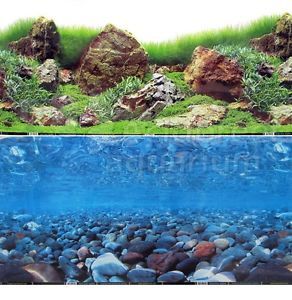 Sea of Green Japanese Garden River Rock 2 Scene 24" Aquarium Background