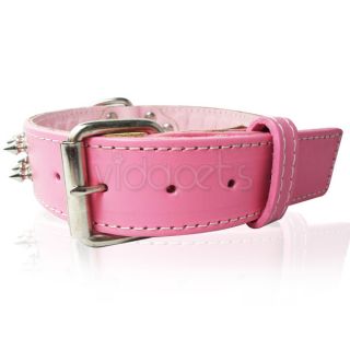 21 26" Pink Spiked Spikes Genuine Real Leather Dog Collar D Ring Extra Large XL