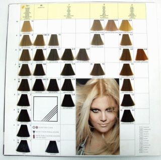 REDKEN Color Fusion Binder Hair Chart Swatch BOOK * on PopScreen.