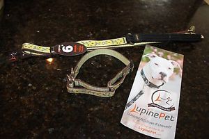 Lupine Pet Padded Handle 3 4" 6 Foot Leash Adjustable Combo Dog Collar Set