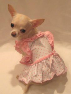 Bitty Baby Ruffle Dog Dress Pet Dress Dog Clothes Yorkie Chihuahua