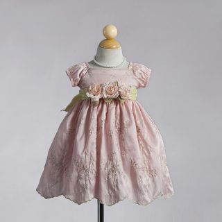 Gorgeous Embroidered Pastel Pink Boutique Flower Girl Dress Infant USA