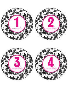 Baby Girl Monthly Stickers Onesies New 12 Months Black White Pink Flower Circle