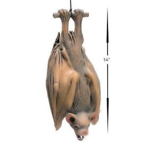 Themed Halloween Party Decoration Prop Animal Hanging 14" Bat Vampire