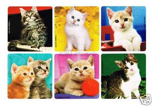 12 Cat Kitten Kitty Animal Stickers Kid Party Goody Loot Treat Bag Favor Supply