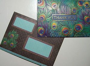 Punch Studio Single 1 Peacock Feathers Thank You Note Card w Designer Envelope