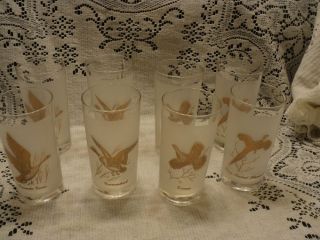 Set 8 Vintage Game Bird Drinking Glasses Barware Frosted with Gold Trim