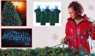 4' x 6' Blue LED Wide Angle Net Christmas Lights 120 Lights Green Wire