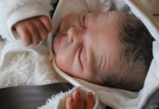 Beautiful Reborn Baby Boy Doll Teddy Sam's Reborn Nursery
