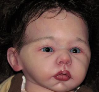 Reborn Baby Boy Melody Tuzio Ross Ethnic Biracial Preemie Newborn Doll Art