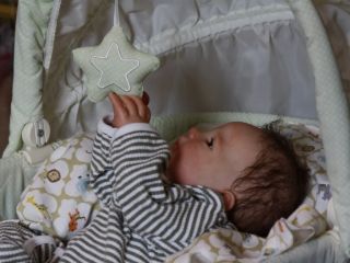 Doves Nursery♥reborn Real Life Baby Boy♥patrick Sculpt by Debbie de Graaf