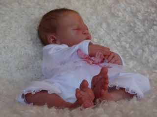 Precious Little Babies Prototype Reborn Baby Girl Twin Harmony Laura Lee Eagles