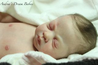 Andrea's Dream Babies Reborn Baby Girl Doll Paige by Sandra White New Release
